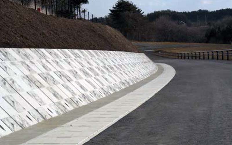 岩手県岩泉地区